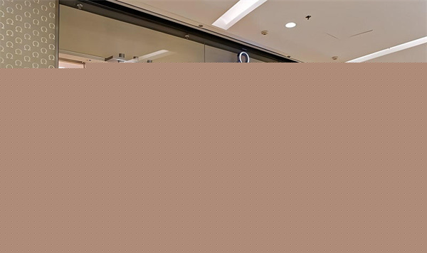 (图) (图)