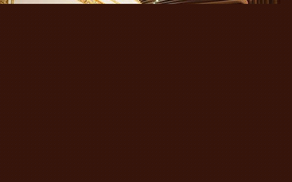 （图）
